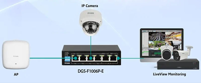DES-F1006P-E